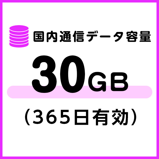 国内通信データ容量追加30ギガ（365日有効）