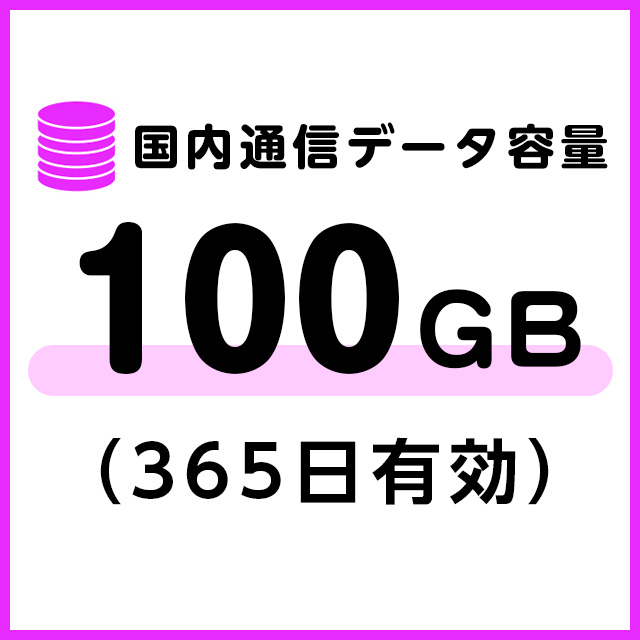国内通信データ容量追加100ギガ（365日有効）